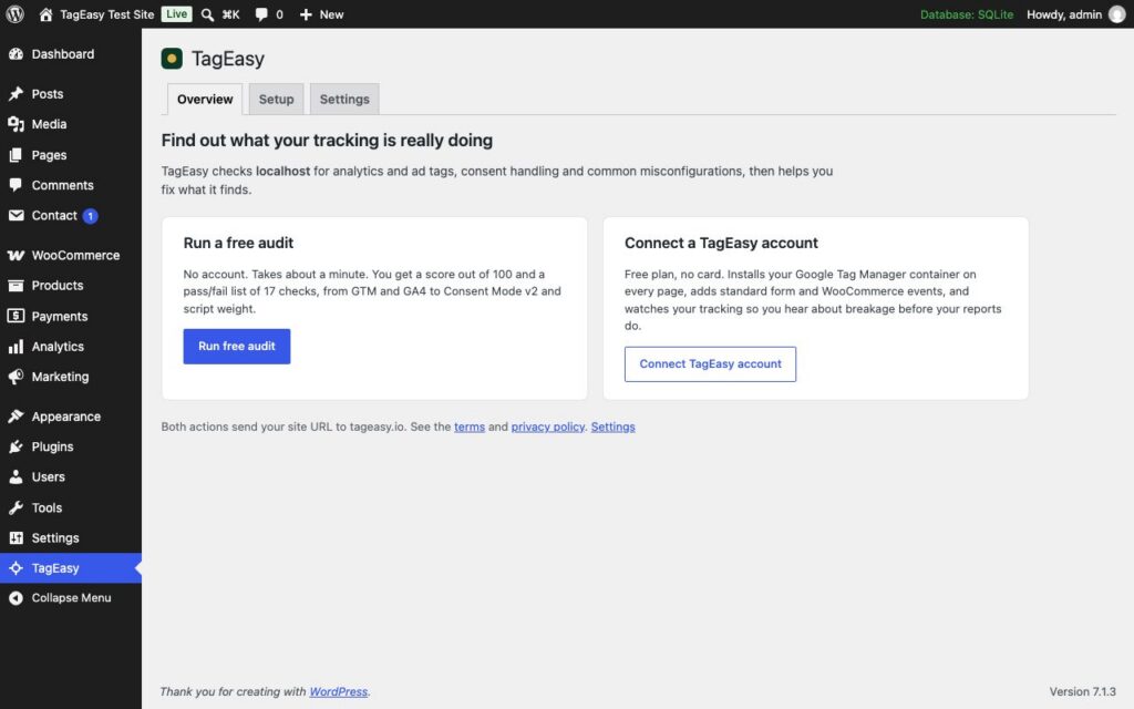 TagEasy for WordPress, First run: run a free audit or connect a TagEasy account.